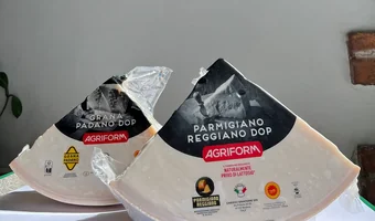 Cuñas de queso Parmigiano Reggiano y Grana Padano Agriform
