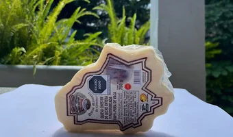 Pieza de queso Chester de leche entera sobre una mesa con vegetación al fondo